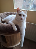 /album/26-02-2026/whatsapp-image-2026-02-26-at-17-53-53-2-jpeg/